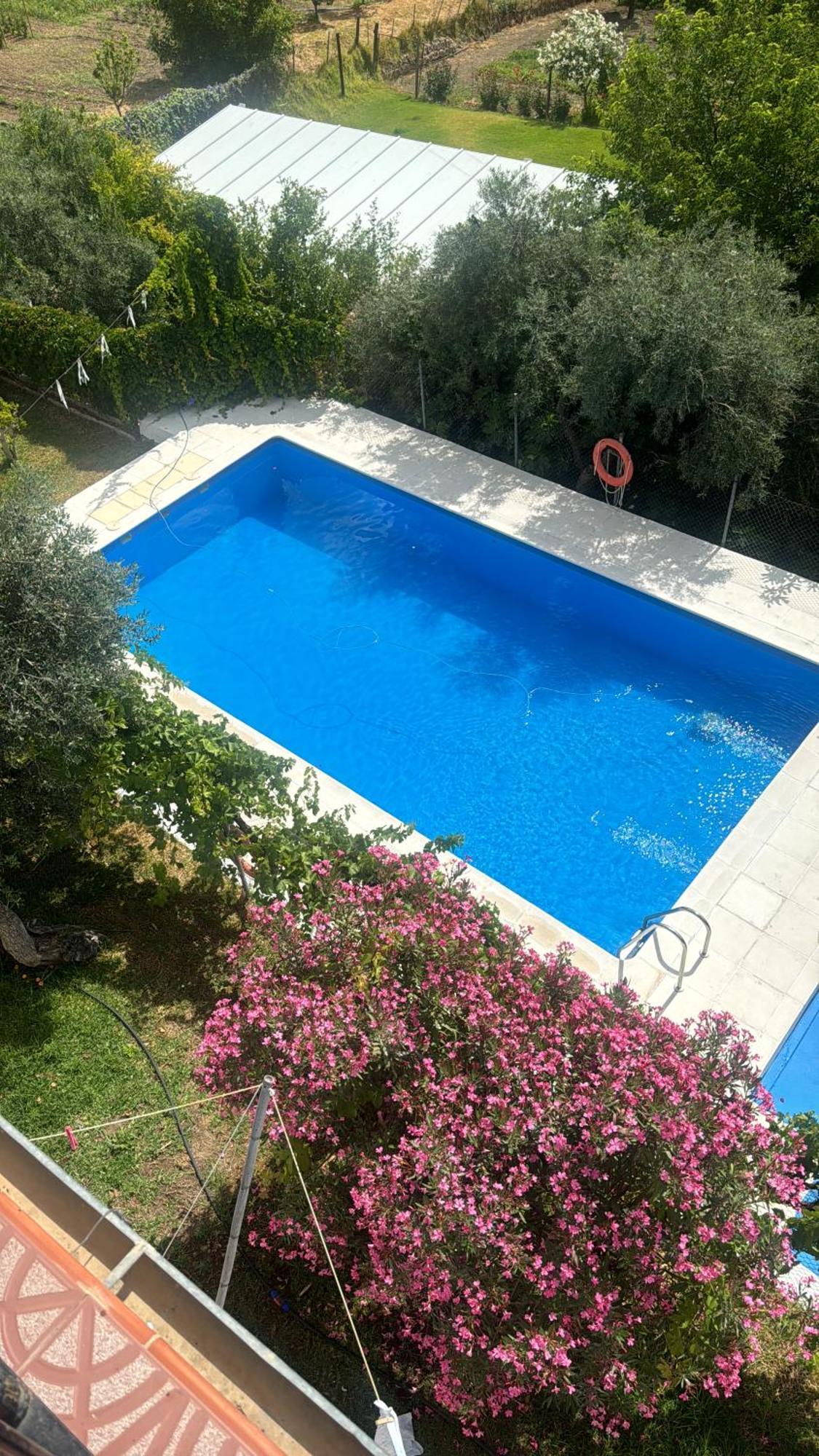 Casa Antonio Algodonales ξενώνας Εξωτερικό φωτογραφία